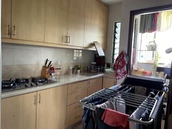 Tanglin Regency (D10), Condominium #471417921